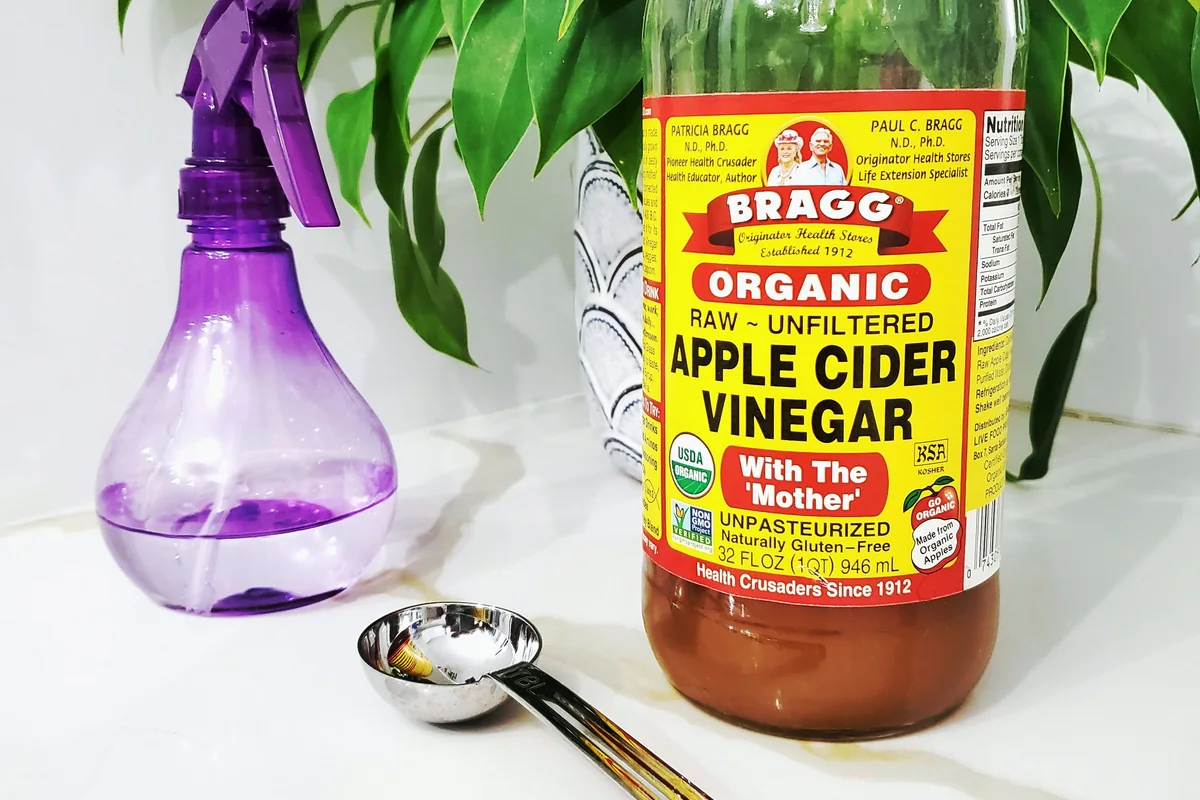 Vinegar and a spray bottle arranged for a DIY cleaning solution